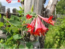 ��������� ������