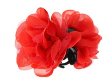 5595. �����. ����. �������. 10 ��. 29 ���.jpg