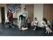 IMG 20160228 170616.jpg