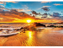 16771 ���� 1500 ������� ����� � ����.jpg