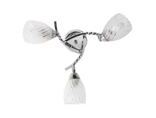 ��� 356015703 1550�.jpg