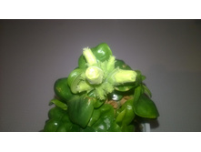 WP 20160303 22 21 13 Pro.jpg