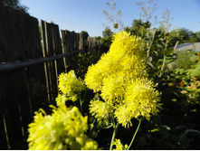 ���������� ������