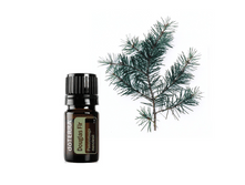 ����������� Douglas Fir Essential oil.png