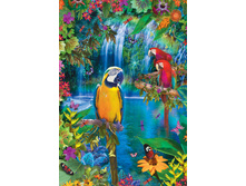 15512 ���� 500 ������� ����������� �����.jpg