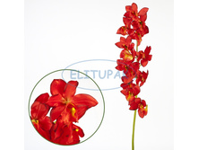 ��000565 ������� ��������� ������� 84 �� (6 ��. � ���.)(Mbox 48 ��.) 512�.jpeg