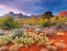 16324 ���� 4000 ������� - ������� � ������� �����.jpg