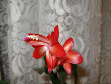 IMG 4679.JPG