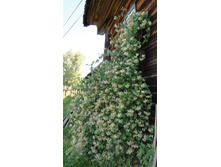 ��������� ���������