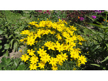 ��������� ���������� ������