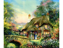 500x500.21319 40�50.jpg