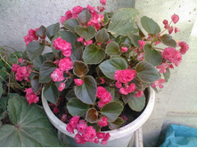 ������� ������������� �������� ����� 27,48 ���.[���.3005205]