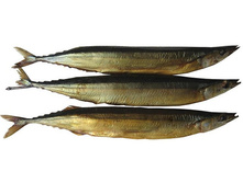 ����� �/�