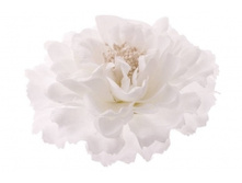 7104. �����. �����-�����. ������ 11 ��. 59 ���.jpg