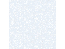 3861.jpg