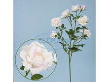 ��000107 ���� �������� �������� �������� 78 �� (18 ��. � ���.)(Mbox 144 ��.) 259�.jpeg