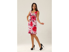 ������ ����-2 ���� 1060