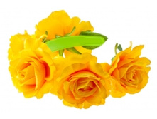 8632. �����. ������ 8 ��. 279 ���.jpg