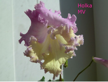 Holka-11.jpg