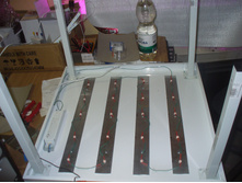 ���������� 3