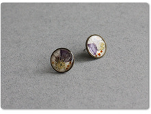 ������� ����� - �������