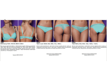 Vega ������� ��������� �����.png