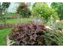 ������� ��������� �����