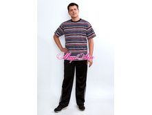 ��0016, 46-60: 200���, 62-64: 220���