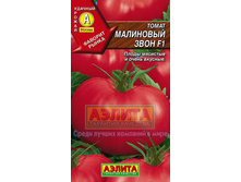 ��������� ����