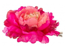 2938. �����. 11 ��. 59 ���.jpg