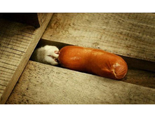 ����� ����� ����� ���������