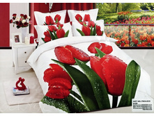 ���. TS05-835.jpg