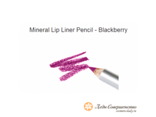 ����������� ��������� �������� ��� ��� (Blackberry - �������) SMM_210.png