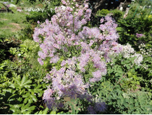 ����������� ����������������