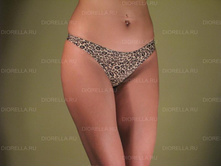 T6162 --- 178 ���.