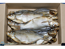 ��� �������.jpg