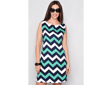 ������ 08.DR-219.png