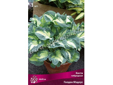 ����� ��������� ������ ������.jpg