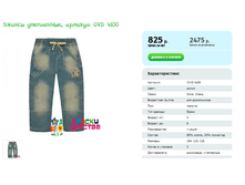 ������ ����������, ������� OVD 4100.png