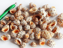 ������� ����� ���� ��., �������:8949, 76�