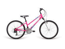 15438 ��������� APO*LL*O 15 VERVE 24 GLOSS PINK BLUE WHITE.jpg