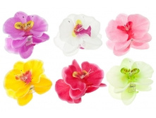 6521. �����. ����. 12 ��. ������ 12 ��. 369 ���.jpg