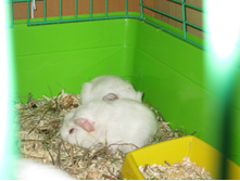 IMG 4331.JPG