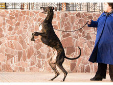 10645258 850414598358298 2823724849753801074 n.jpg