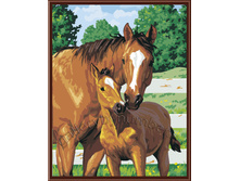 �������� �������: GL5798 520 ���