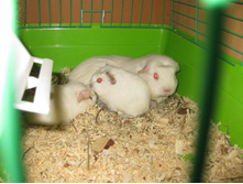 IMG 4609.JPG