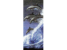 Dauphins.jpeg