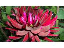 №39 ��������� ����.jpg