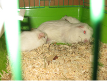 IMG 4646.JPG