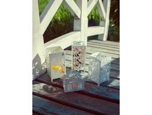 ���������� P---S014-G ���� 301 ���